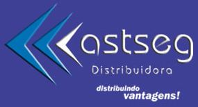 Castseg Distribuidora